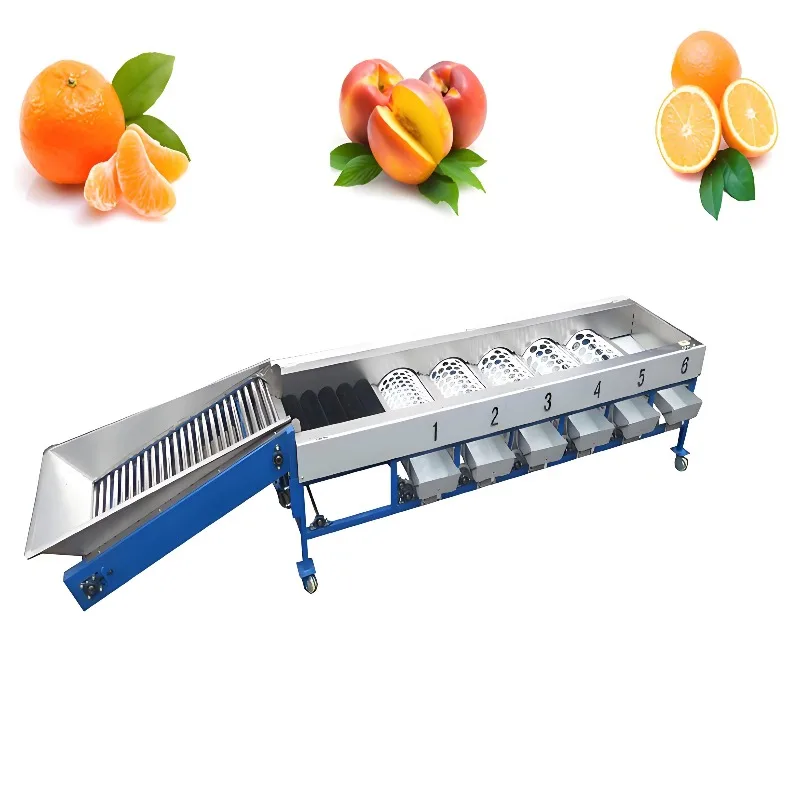 Most Affordable Automatic Fruit Sorting Machine Fruit Size Sorting Machine Portable Fruit Washing and Sorting Machine
