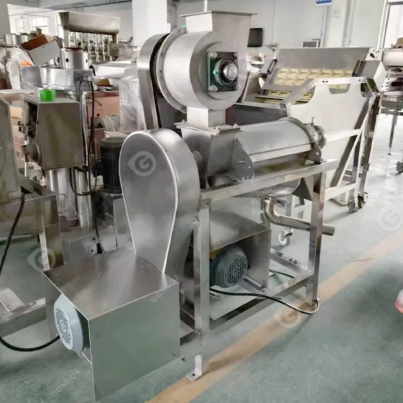 Mango Apple 220V Squizing Hydra Extractor Juicer Line Commercial Coconut Milk Maker Machine Juice Machine