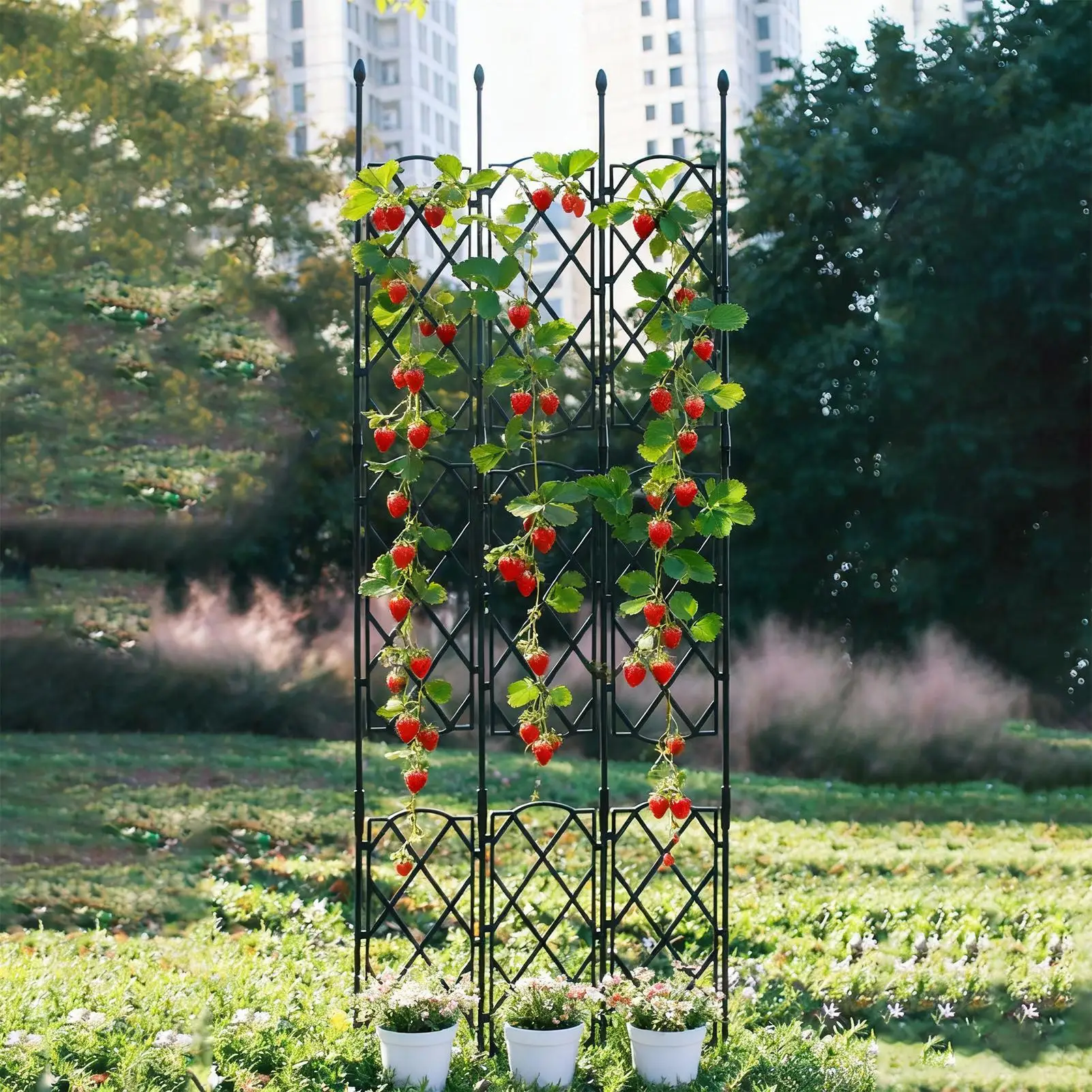 

Решетка для растений, комнатная съемная решетка для выращивания огурцов, обелиск, садовая решетка для вьющихся растений для балкона, террасы, двора, заднего двора