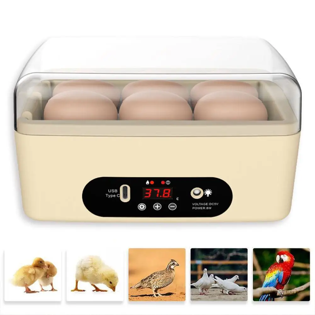 Small Egg Hatcher Box 6 Eggs With Temperature Control Egg Incubator Transparent Lid For Incubation Process Visible Gift For