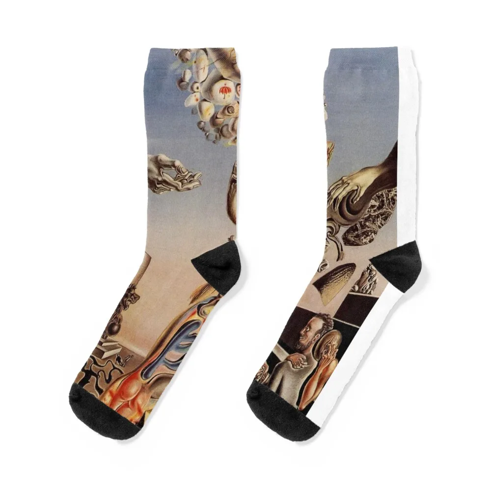 

Salvador dali original paintings Socks christmas gifts funny gifts designer brand luxe Men Socks Women's
