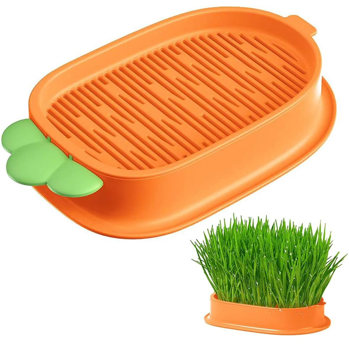 New Carrot Catgrass Box Wheat Seed Soilless Hydroponic Cat Snack Catgrass Pot Cute Pet Products Fashion New Arrivals