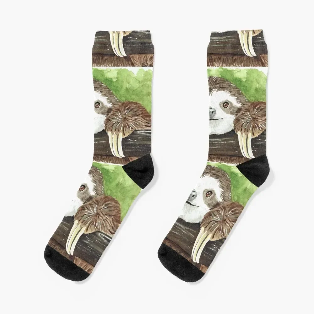 Sloth- just hang out Socks warm winter Stockings compression christmas gifts Ladies Socks Men's