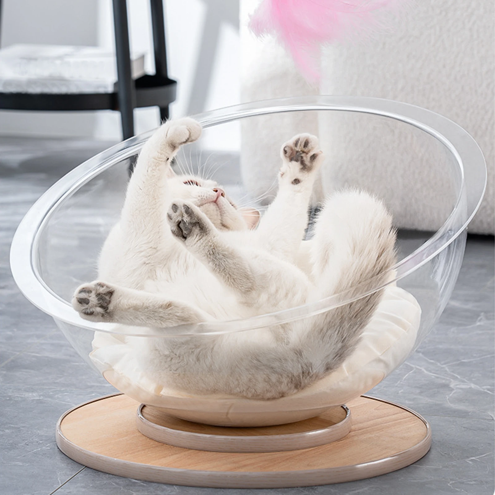 

Space Capsule Cat Bed Sleeping Nest Transparent Cat House All Season Activity Center Universal Solid Wood Stand Kittens Hammock