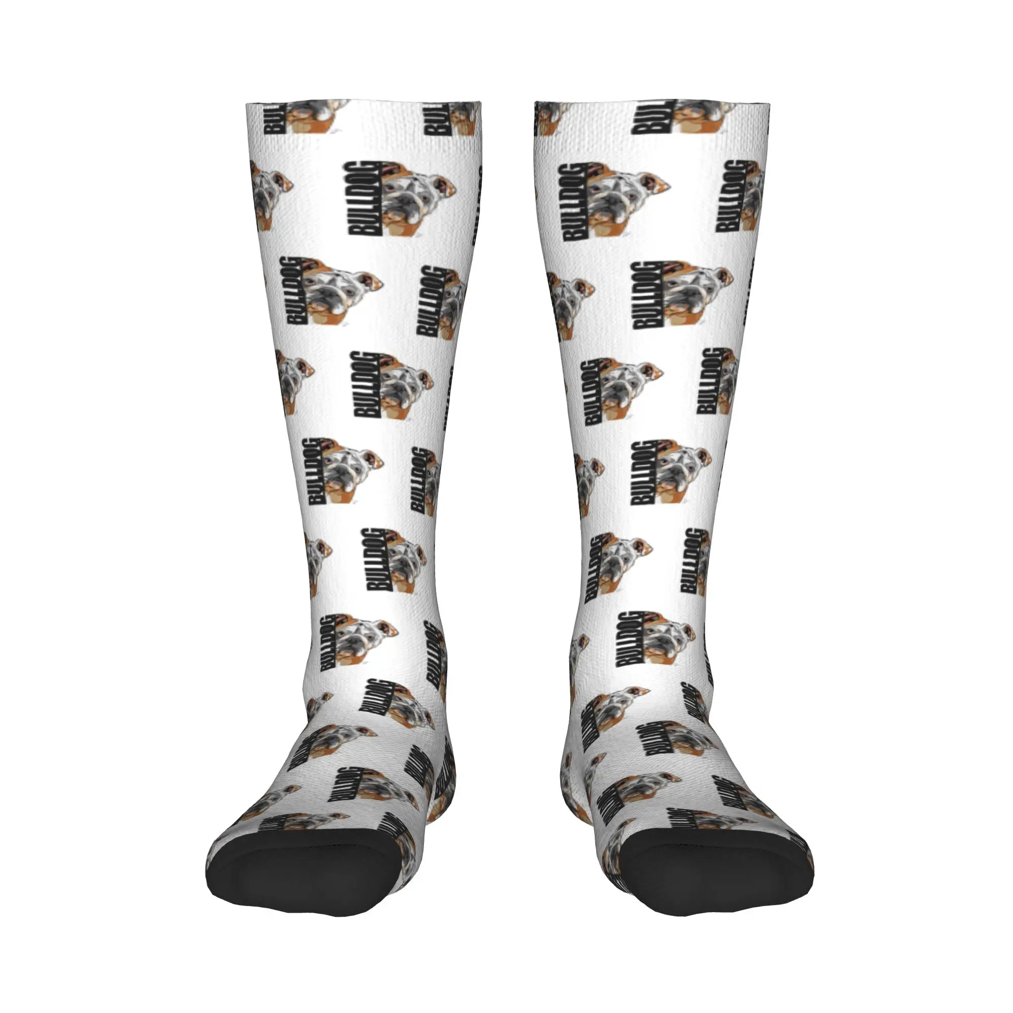 

Всесезонные чулки для экипажа, забавные носки с английскими собаками бульдога, Harajuku, модные длинные носки в стиле хип-хоп, аксессуары для мужчин и женщин