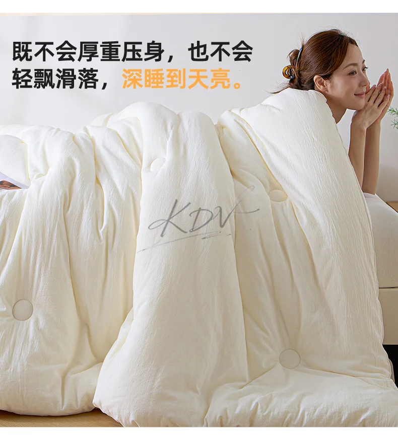 Soybean Fiber Filled Fluffy Comforter Thick Warm Autumn Winter Duvet Insert Solid Color Brushed Soft Quilt for Single Double Bed