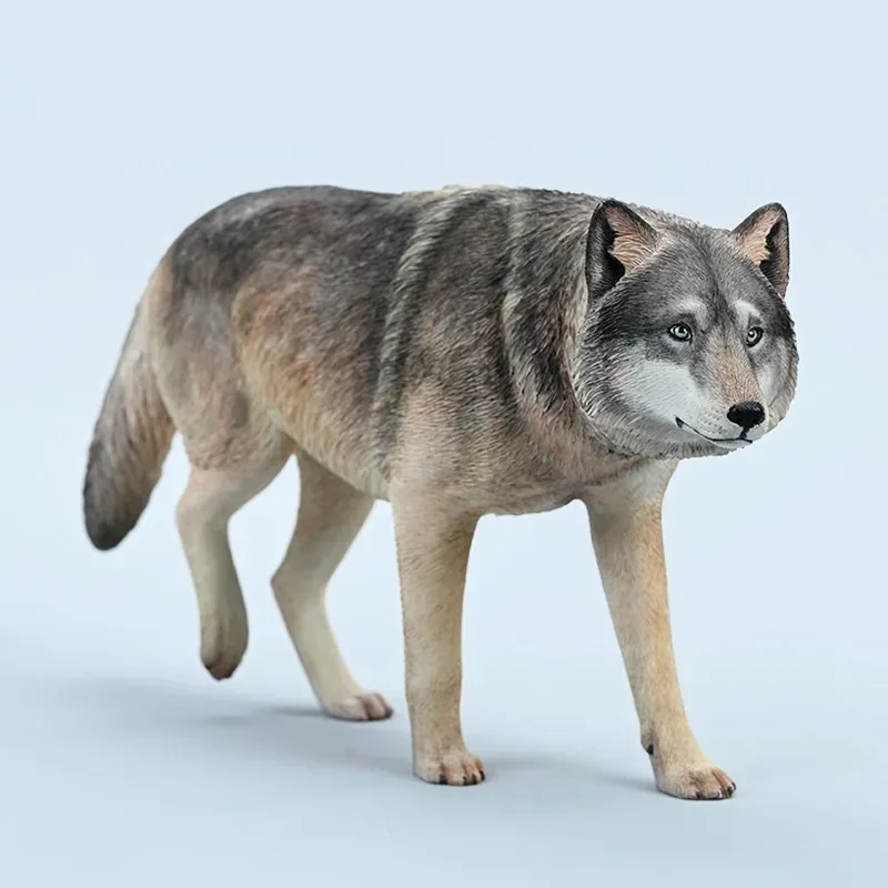 JXK 1/6 Maßstab Simuliertes Tier-Harzmodell Fierce Grassland Wolf für 12-Zoll-Actionfiguren Körper-Szenen-Zubehör auf Lager