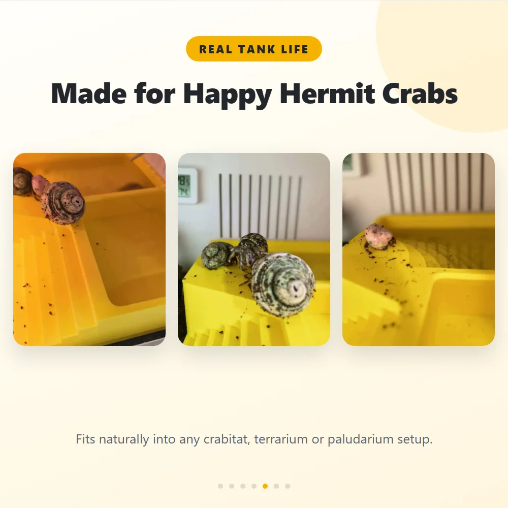 Hermit Crab Water Bowl Dual Pool Salt Fresh Bath Dish Easy Climb Steps Pet Safe Plastic for Crabitat Terrarium Tank Decor