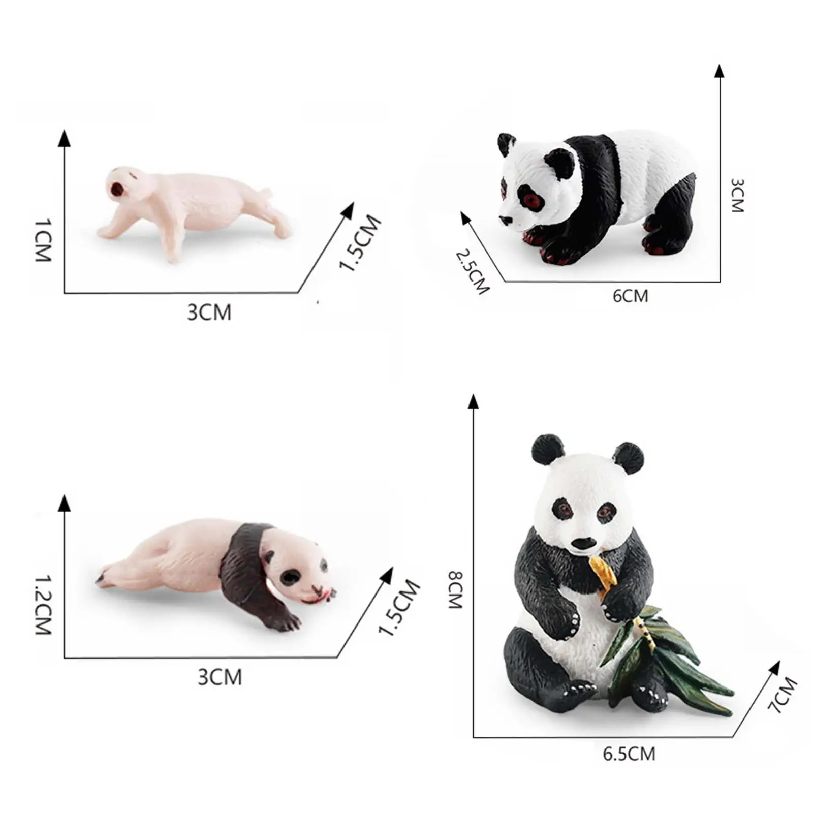 Levenscyclus Dierenfiguren Speelgoed 4 fasen van dierengroeicyclusmodellen Peuters