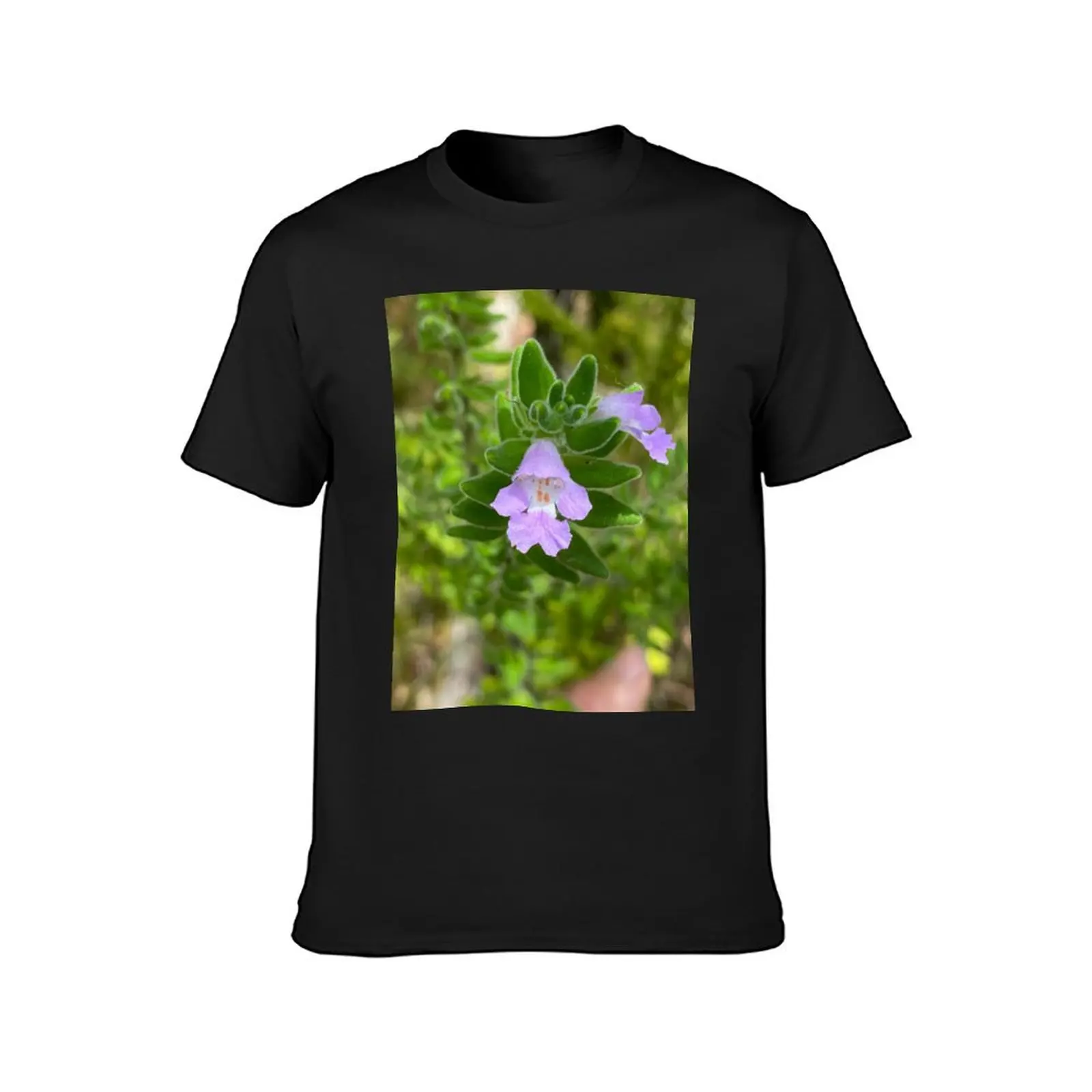 Australian Villous Mint Bush - Prostanthera densa T-Shirt tops customizeds t shirts men