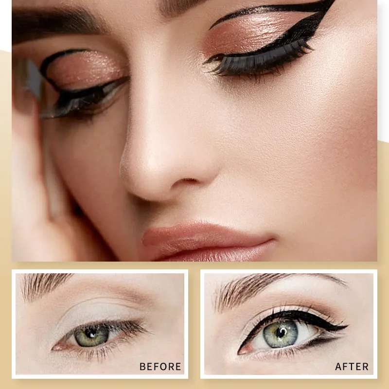Eyeliner Liquido Impermeabile, Lunga Durata 24 Ore, Punta Anti-Sbavatura per Linee Precise, Trucco Tutto il Giorno, Adatto a Occhi Sensibili e Pelle Grassa