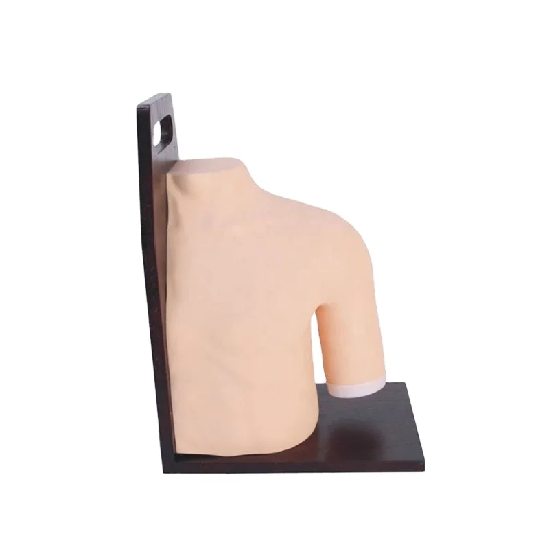 Medical PVC Natural Size Durable Teaching Manikin Shoulder Joint Injection Training Model