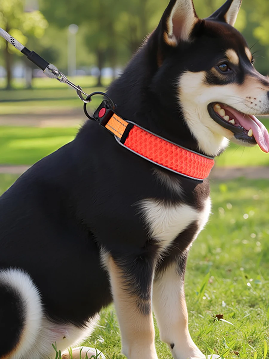 Pet Dog Collar, Adjustable Neck Strap for Walking, Reflective Durable Outdoor Collar for Small Medium Large Dogs, 1PC