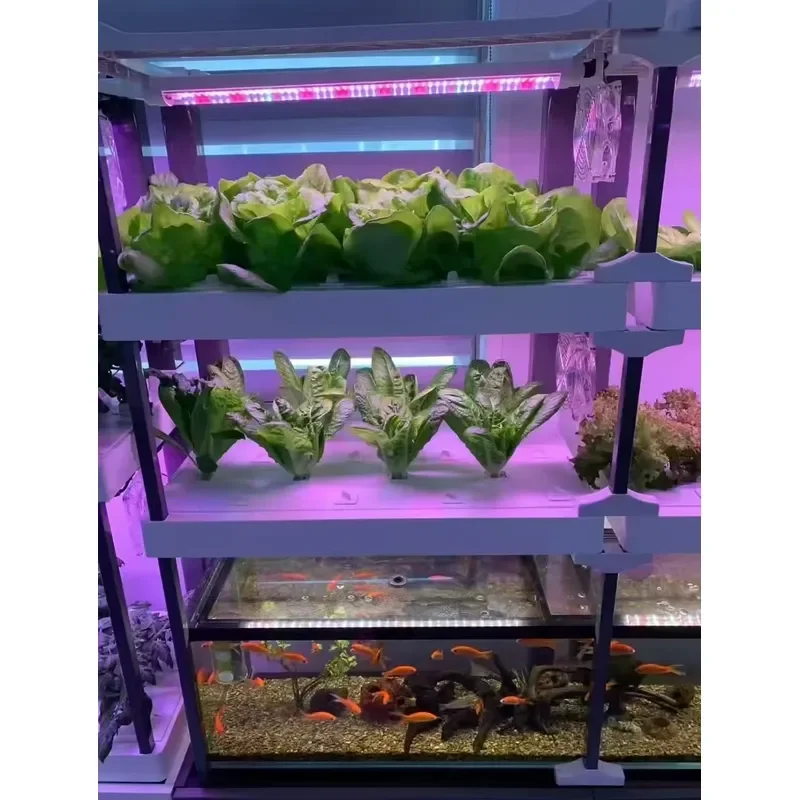 for Seeda Hydroponics System Eco Friendly Aquaponics Kit with Water Pump Growth Light Flower Pot Fish Tank 1 Year Warranty