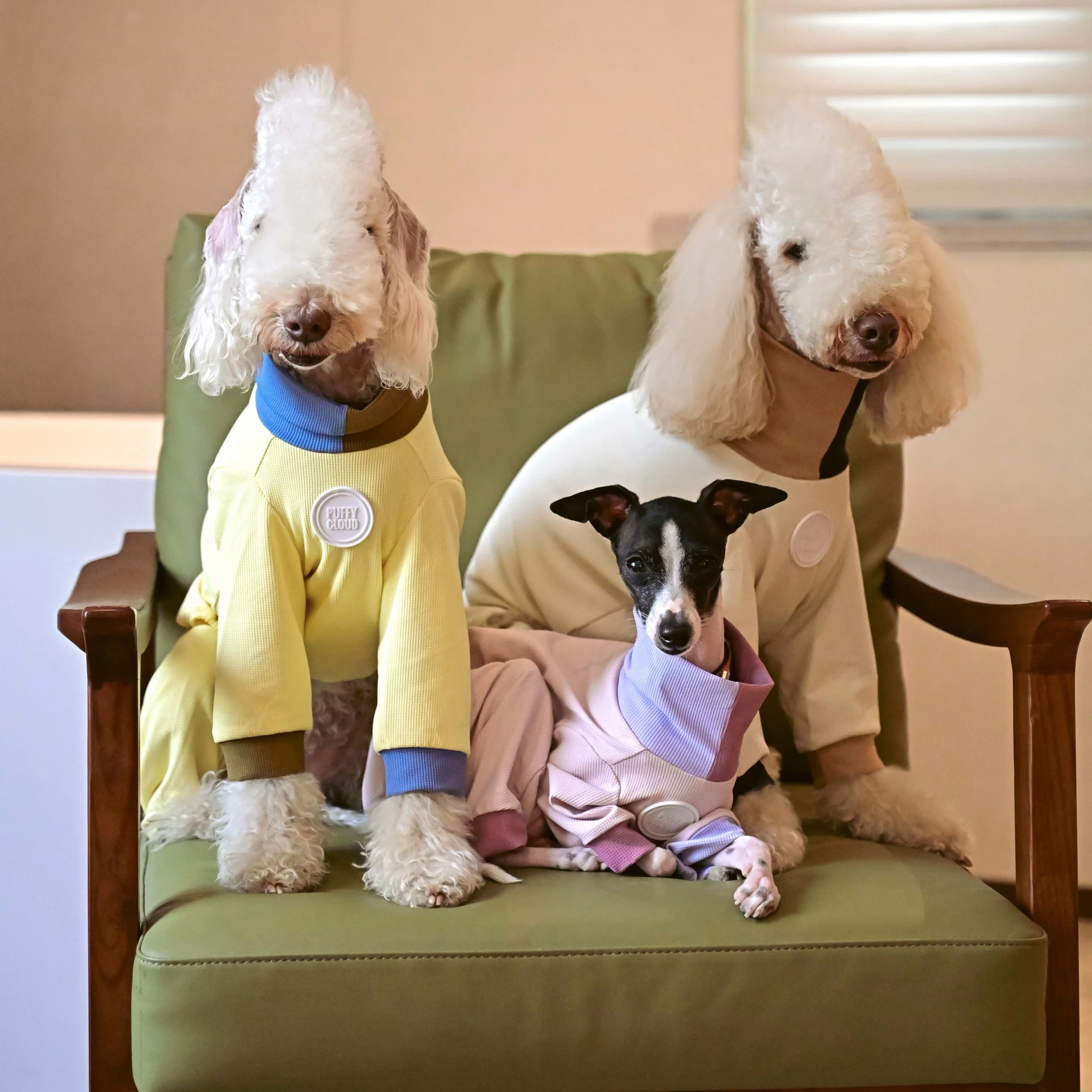 

Summer Outdoor Lightweight Anti-Soil Cooling 4-Legged Beige Bodysuit for Italian Greyhound Waffle-Knit Yellow Onesie for Whippet