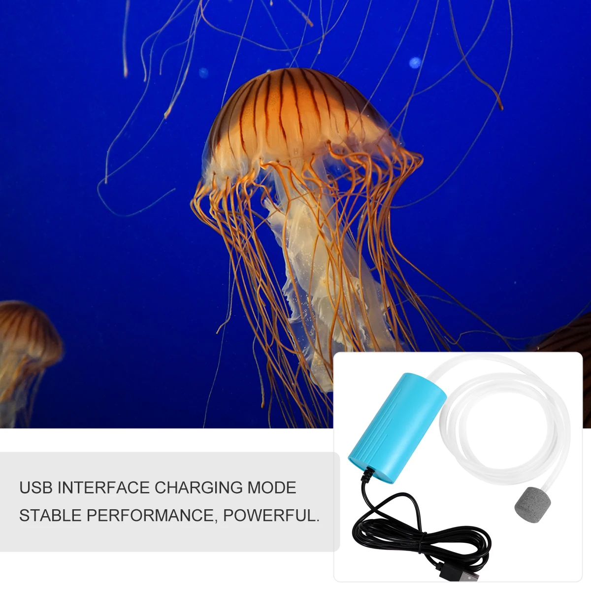 

USB Oxygen Pump Mini Fish Tank Air Stone Pump Charging Silent Aquarium Oxygen Pumps USB Powerful Stable Performance Large Gas