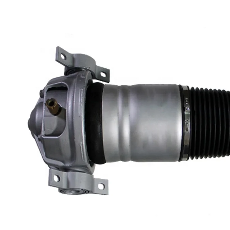 Auto Left Rear Right Air Suspension Shock Absorber Strut OEM 7L8616019D 7L8616020D for