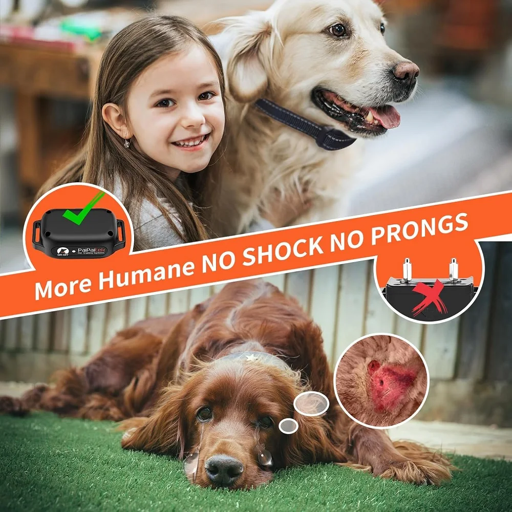 Thumbnail 2 - #47 Top 50 Puppy Training Collars Worth Buying In 2026
