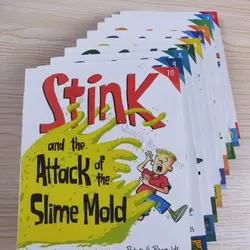 Livre de dessin animé de la série Stink, Judy EWdy, Little Judy, frères et sœurs, nettoyage d'histoires pour enfants en anglais, lecture au coucher, 10 volumes