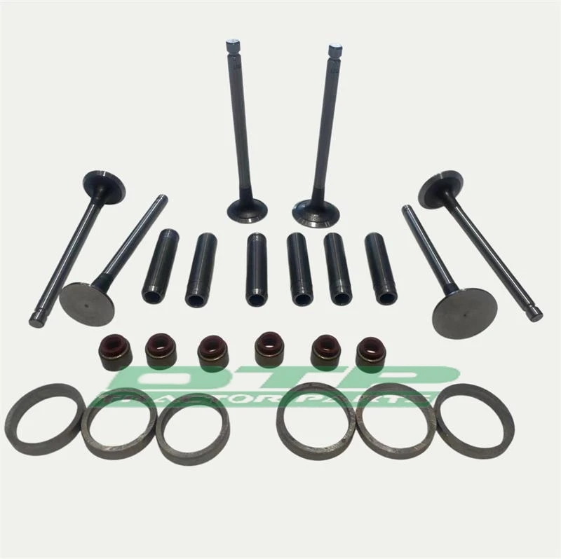 Intake and Exhaust Valves Kit for Yangdong Y380T / Y385T