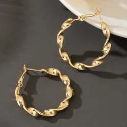 Simple Irregular Metal Hoop Earrings For Women Party Gift Holiday OL Fashion Jewelry Ear Accessories DE048