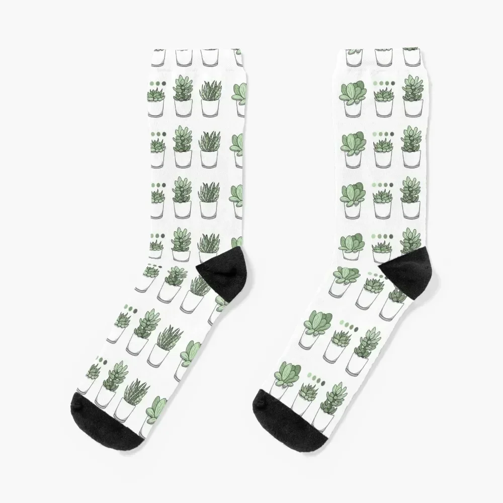 Tiny Potted Succulents and Gradient Socks custom sports Argentina Luxury Woman Socks Men's