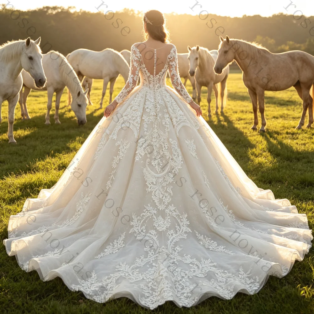 Customized Illusion V Neck Long Lace Sleeve Ballgown Wedding Dress Appliqué Glitter Tulle Royal Train  Princess Bridal Gown