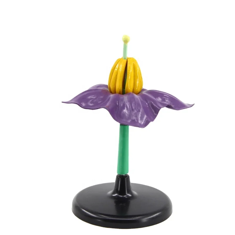 Bioplastic Flower Model Potato Flower Model For Students To Learn