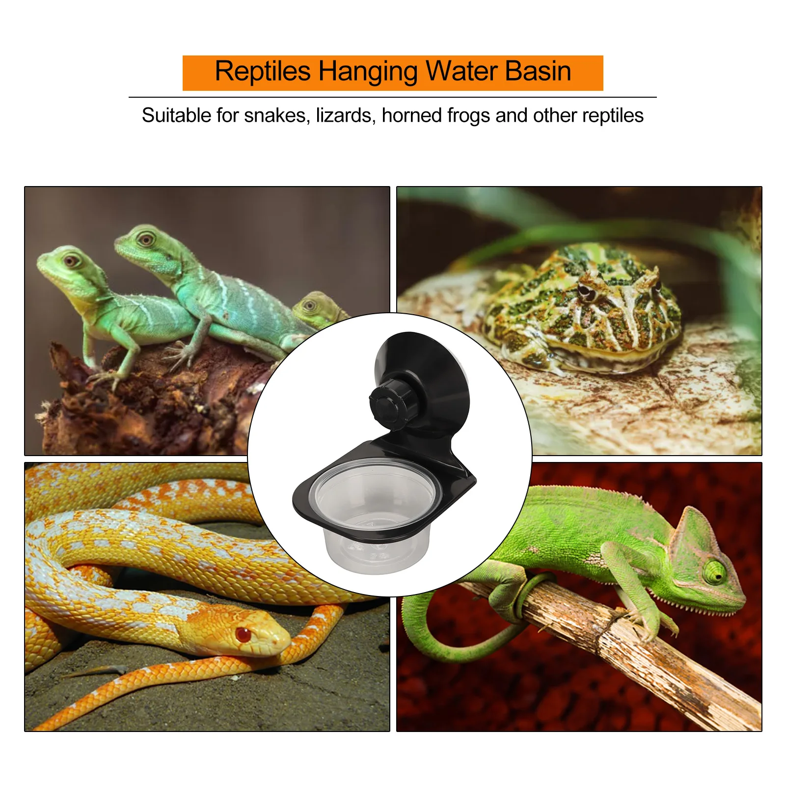 Thumbnail 2 - #37 Reptile Water Bowls Price Drop Alerts