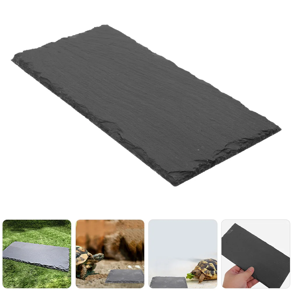 

Reptile Stone Dish Basking Feeding Plate for Tortoise Lizard Gecko Snake Turtle Uv Exposure Decorative Snake Feeding Plate