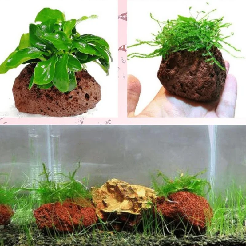 Black Volcanic Aquarium Decoration Fish Tank Plant Fixing Pot Polka Water Plants Potted Planting Cup Aquarium Accessories Filter