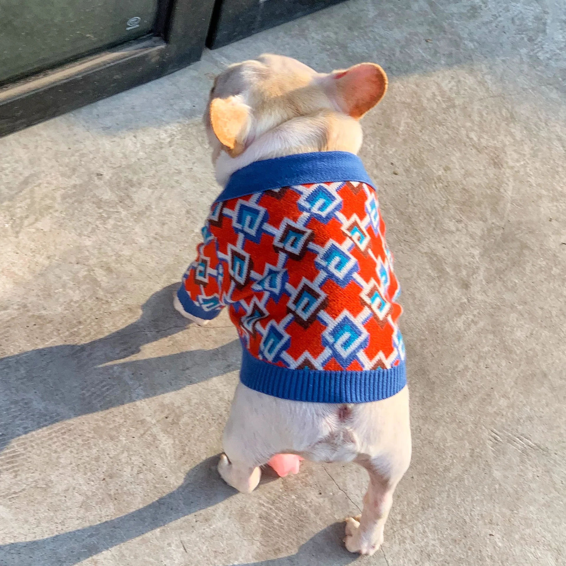 Small Fragrant Cardigan for Pets, Classic Coat, Fashion Sweaters, Spring, Autumn, Winter, 2020, Hot Sale