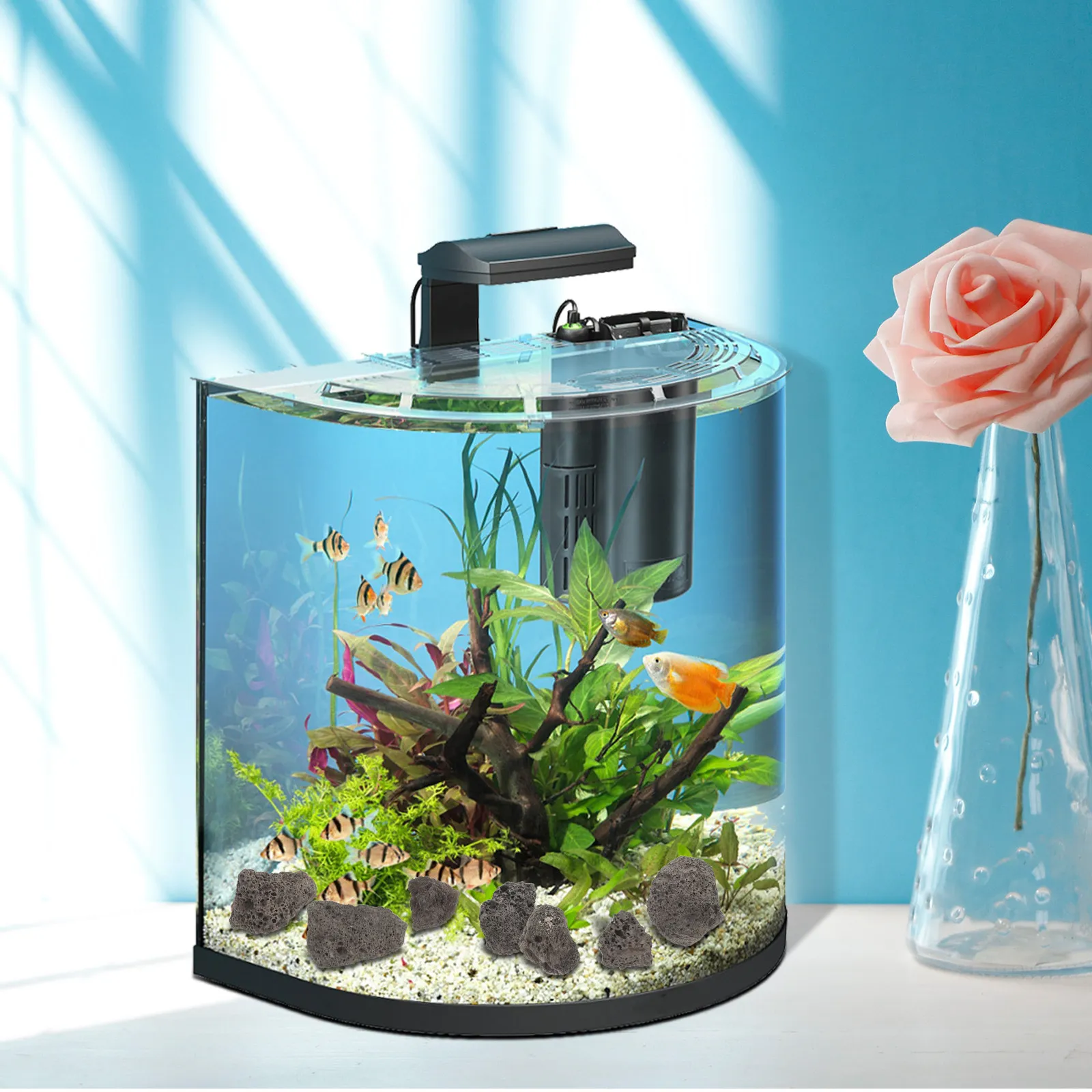 1 Set Batu Vulkanik Alami untu - Fish Aquarium Home ulasan dan harga