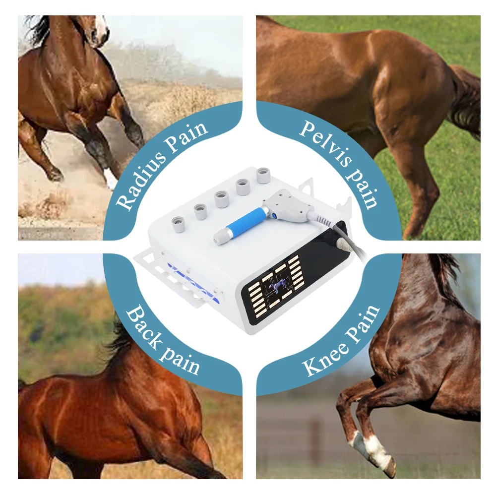 

Pneumatic Shock Wave Machine For Pain Relief And Treat Tendon Injury New 10Bar Professional Animals Shockwave Massager Horse Use