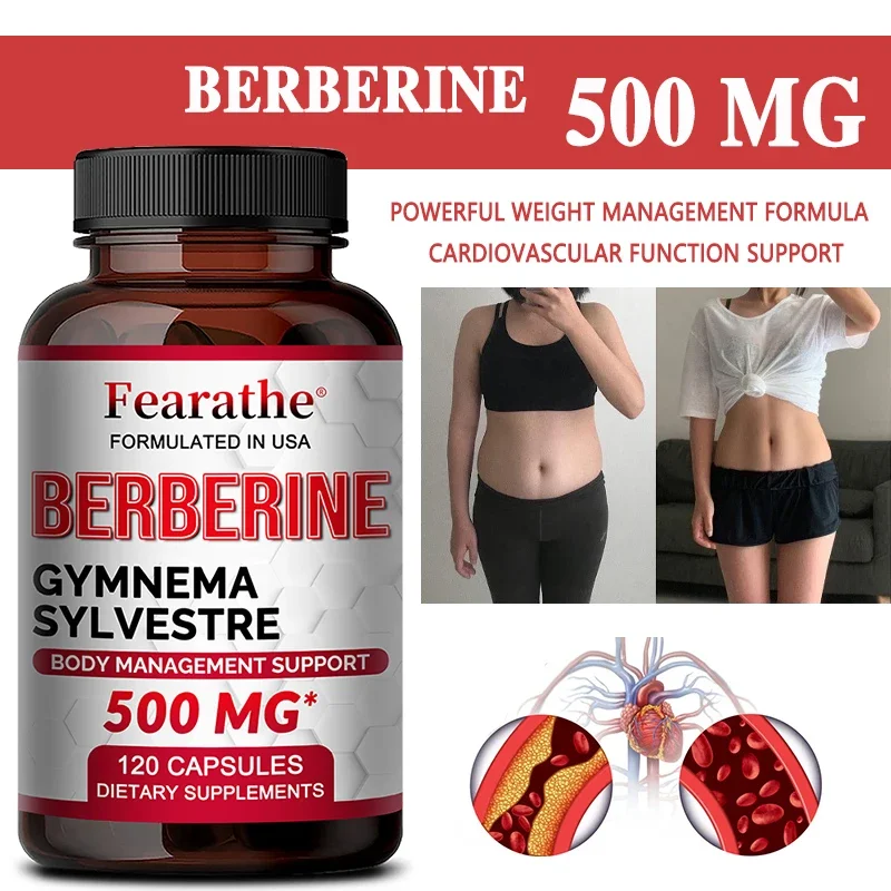 Berberine with Gymnema Sylvestre Extract 500 mg - High Absorption, Fat Burning, Weight Management, Energy Supplement