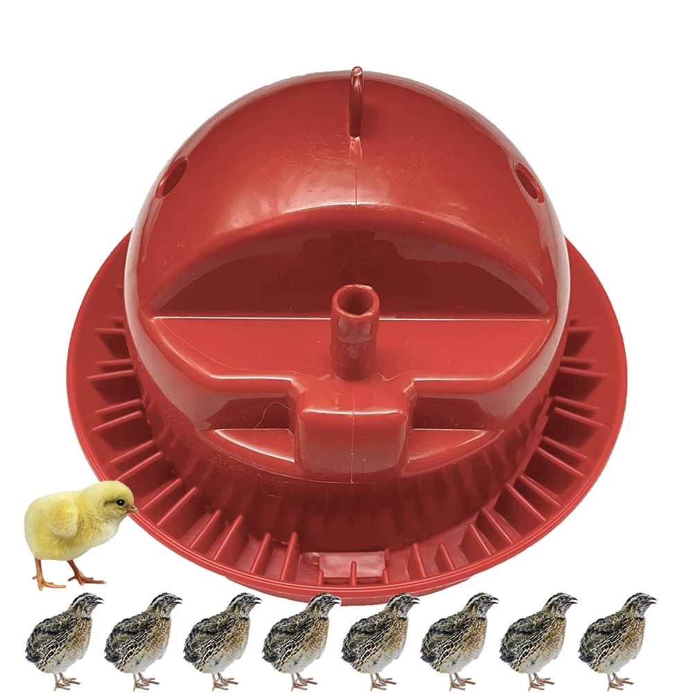 Plastic Automatic Feeder Day Old Chick brooder On Ground Feeding Water Fountain With Float Valve Automatic Chicken Farming