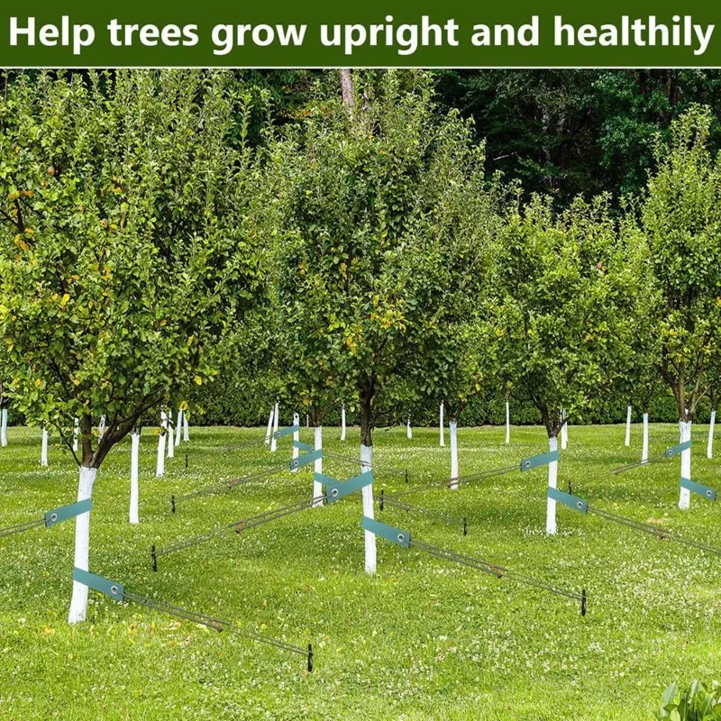 WORTHOWN-Ideal With Tree Straps Heavy-Duty Wooden Tree Support Stake Set Spiral Tree Stake Kit For Gardening And Planting