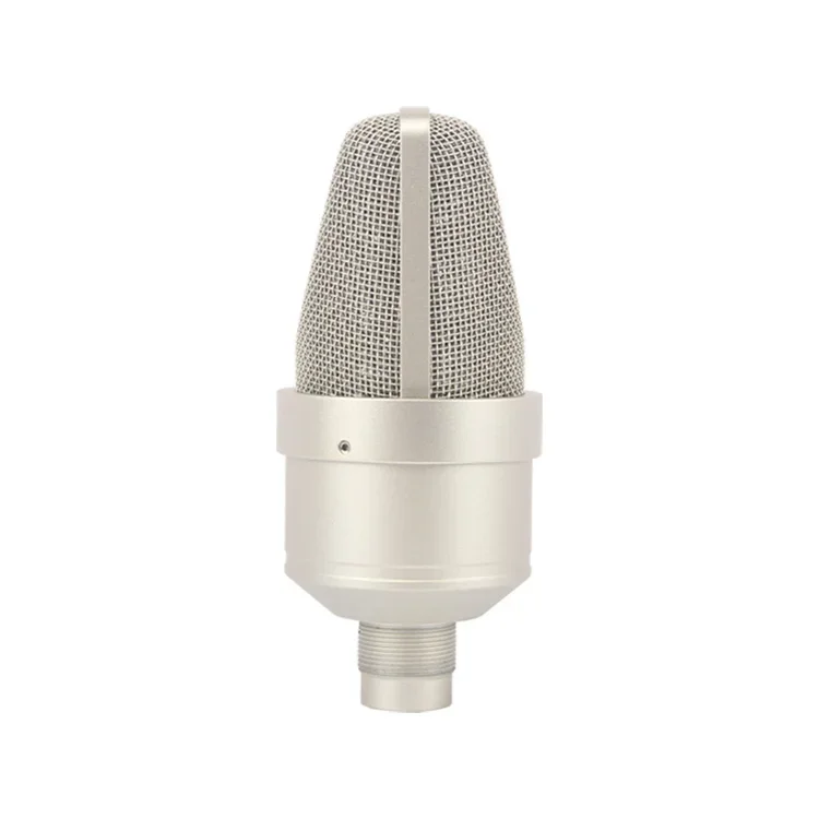 TLM 103 Professional Studio Condenser Sound Recording