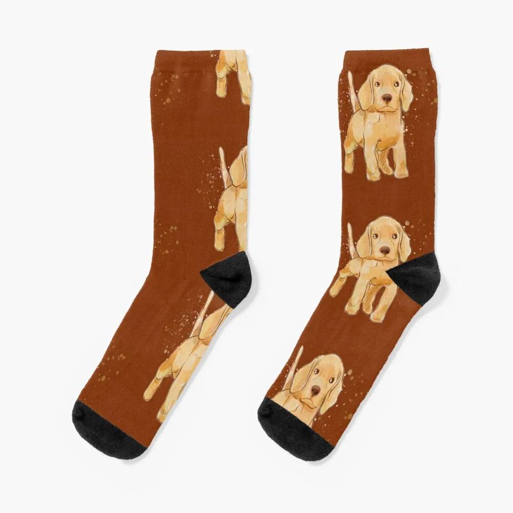 

yellow golden retriever dog Socks heated shoes Climbing Women's Socks Men's