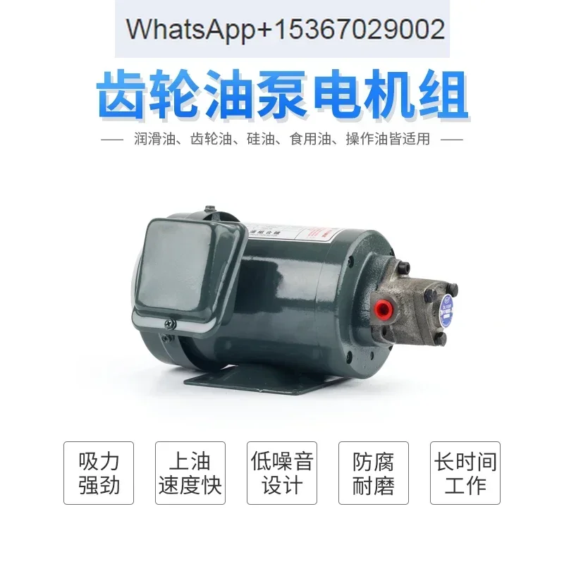 Hydraulic TOP-12A Self suction Lubrication Pump Triangle Pump ROP-11A 13A Cycloidal Gear Cooling Cycle