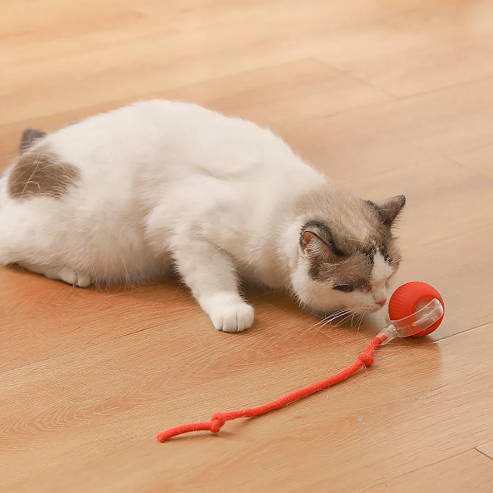 Funny Interactive Cat Toy Ball Super Drive Cat Rolling Balls with Bird Chirping Motion Activated Sensor Pet Kitten Teaser Toys