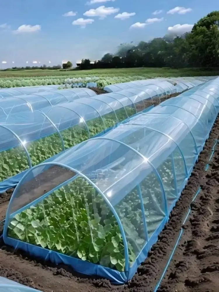 

Customized Greenhouse Film Gardening Growhouse Frame Vegetable Plant Flowers Mesh Bird Insect Protective Covers Film Rain-Proof