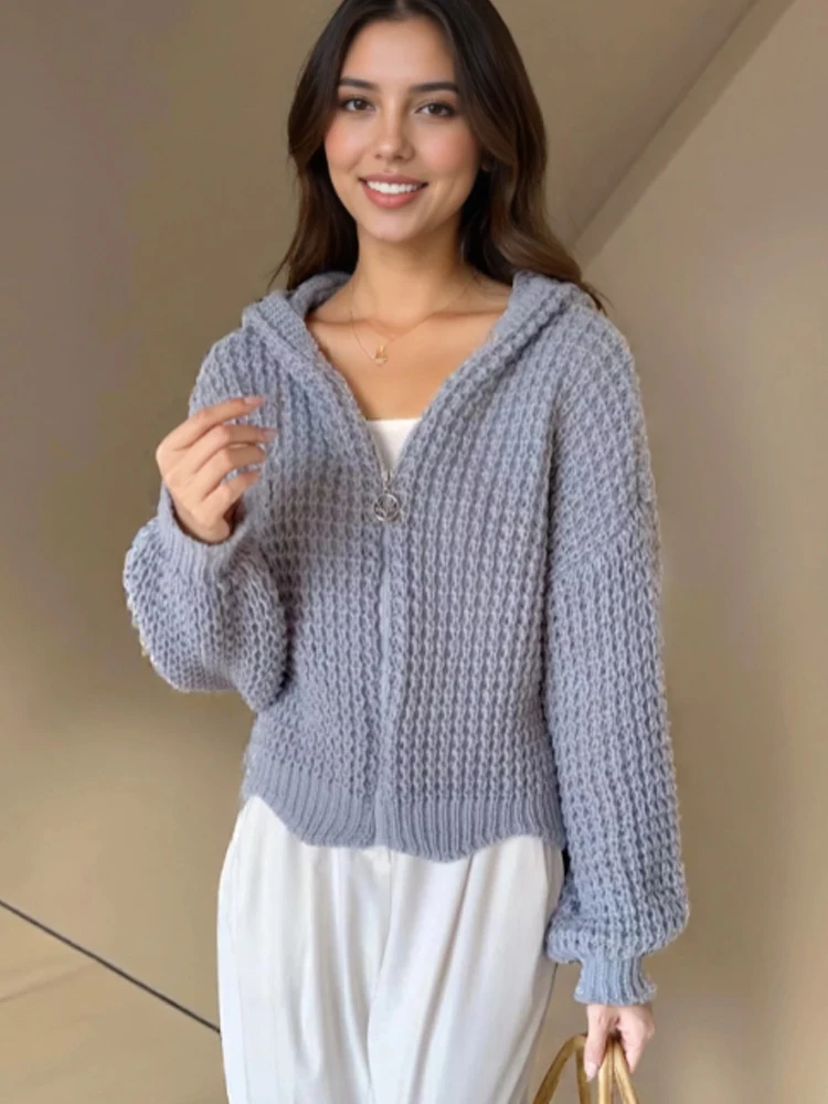 

Korean Retro Hooded Knitted Cardigan Casual Slim Fit Zipper Sweater Jacket Autumn Women's Elegant Solid Color Knitted Top