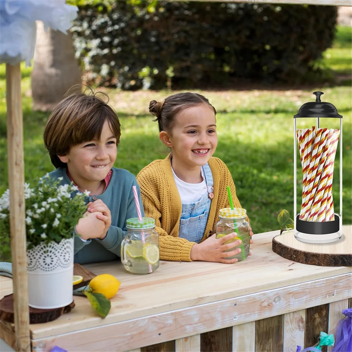 Straw Holder for Standard Size Drinking Straws, Plastic Straw Dispenser for Counter with Lid TQ