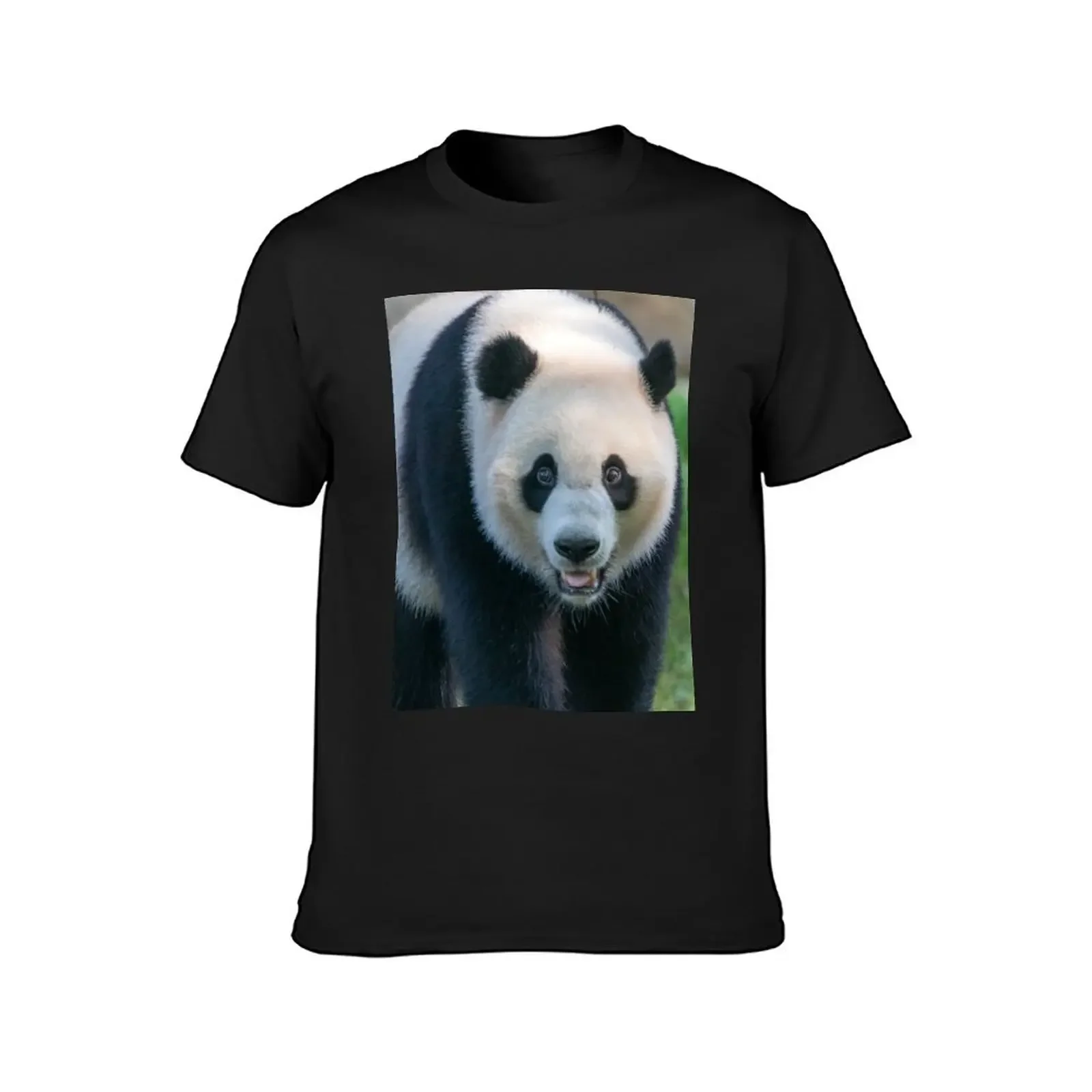 Giant Panda Xiao Qi Ji at the National Zoo T-Shirt anime figures graphic t shirt vintage funny t shirts for men