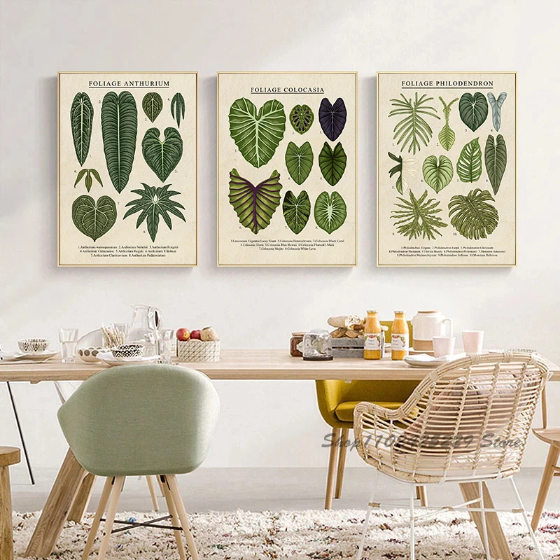 Cartoon Popular Science Plant Posters Foliage Philodendron and Anthurium Plants Canvas Printing Painting Home Decoration