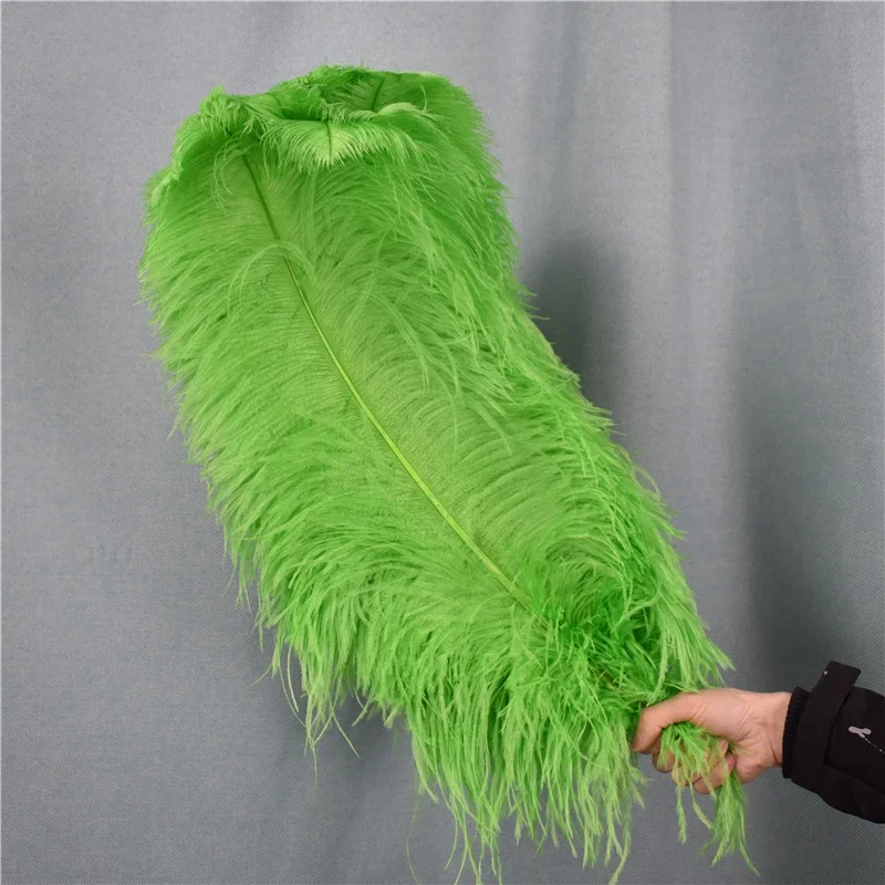 Apfelgrüne Straußenfedern zur Dekoration von Kleidung, 15-70 cm lang, große Straußenfedern für Bastelarbeiten, DIY-Projekte, Hochzeits- und Weihnachtsdekoration. – Detail 4