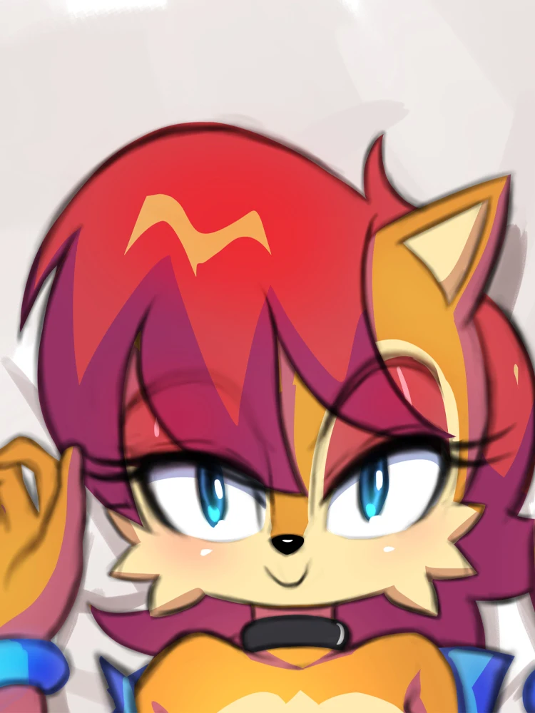 Dakimakura Anime Sally Acorn Double-sided Print 2WAY Tricot Life-size Body Pillow Cover Pillowcase Custom print