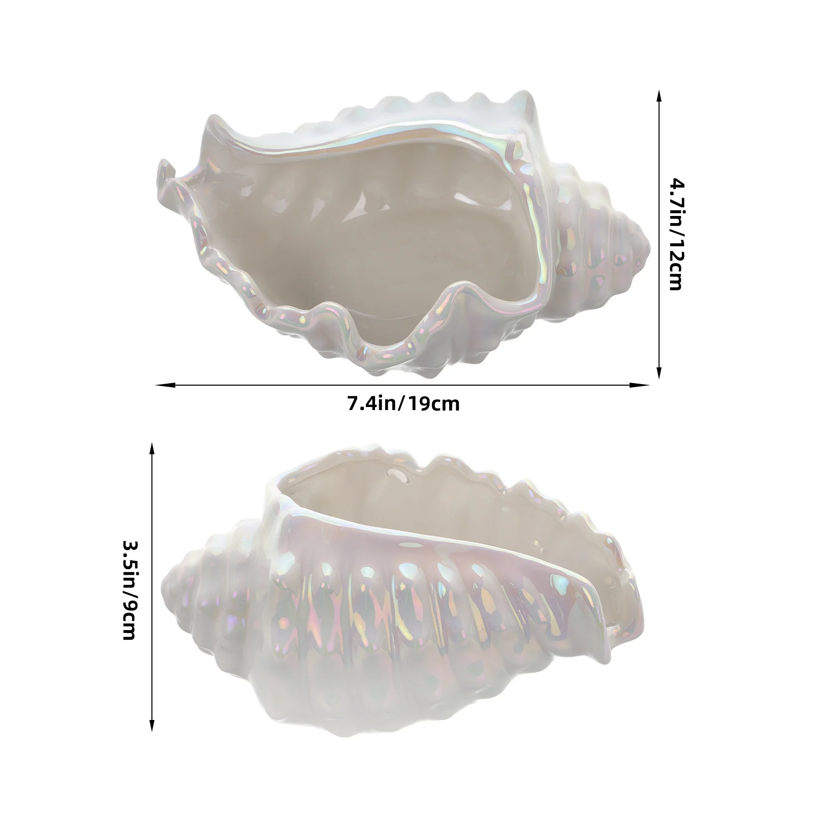 Conch Jewelry Tray Ceramic Decorative Small Jewelry Holder Ring Organizer Earring Trinket Dish Stylish Compact Display for Home