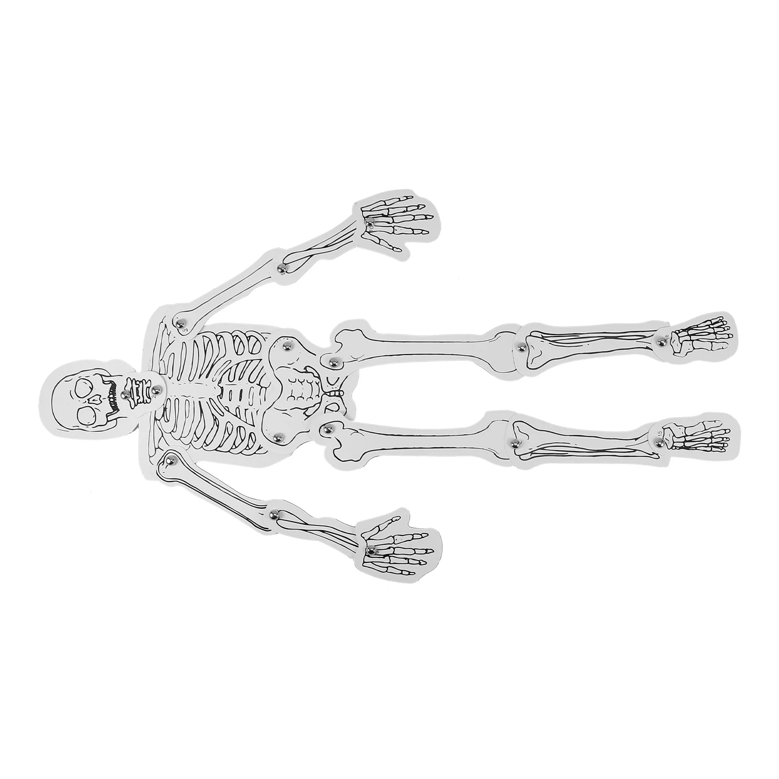 

1 Bag Handmade Science Kit For Education Cognitive Material Human Assembly Bone Structure Learning Tool